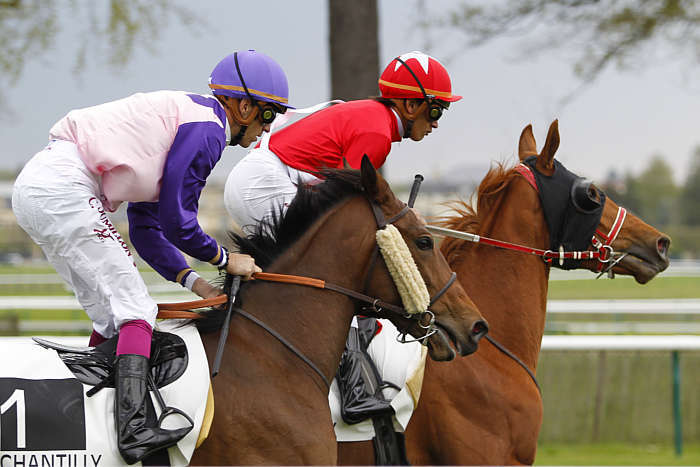 Quinté du mardi 24 juin 2025 à Chantilly: les pronostics