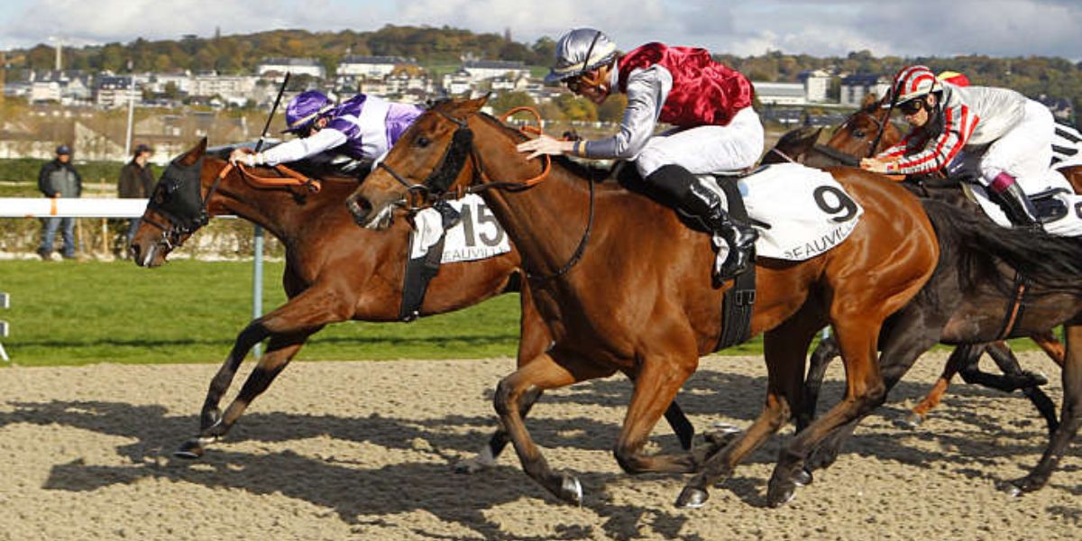 Quinté du dimanche 3 août 2025 à Deauville: les pronostics