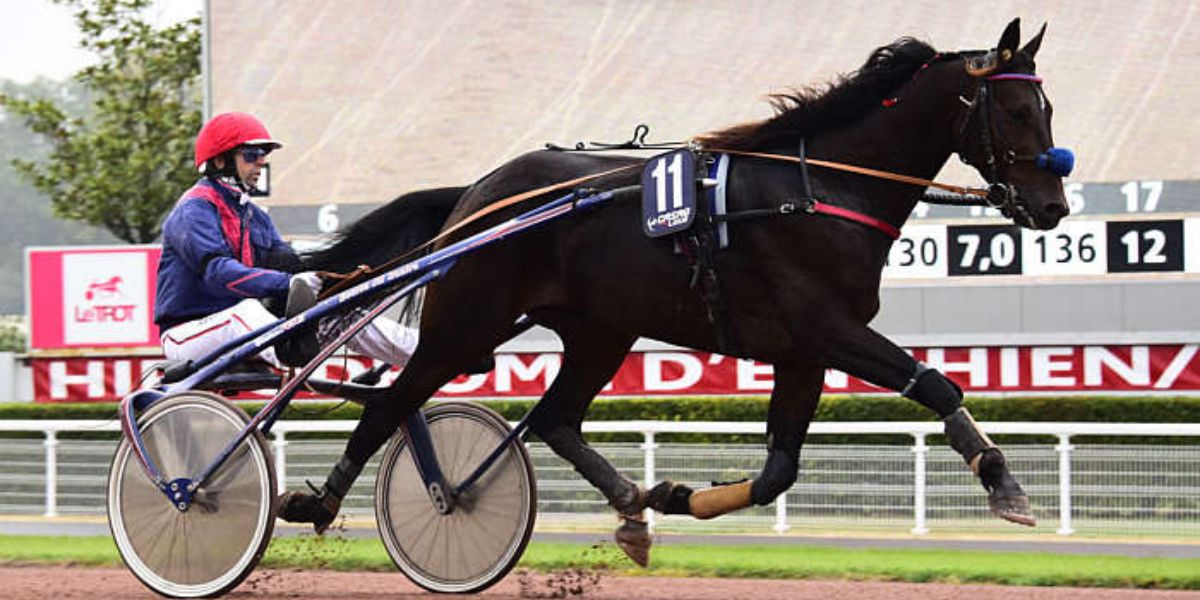 Quinté du samedi 5 juillet 2025 à Enghien: les pronostics