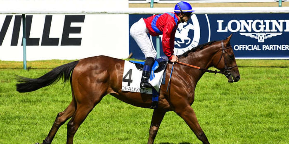 Quinté du dimanche 6 juillet 2025 à Deauville: les pronostics