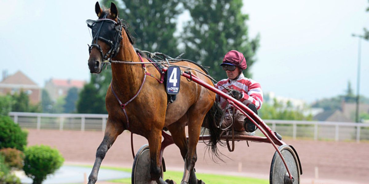 Quinté du lundi 7 juillet 2025 à Châteaubriant: les pronostics