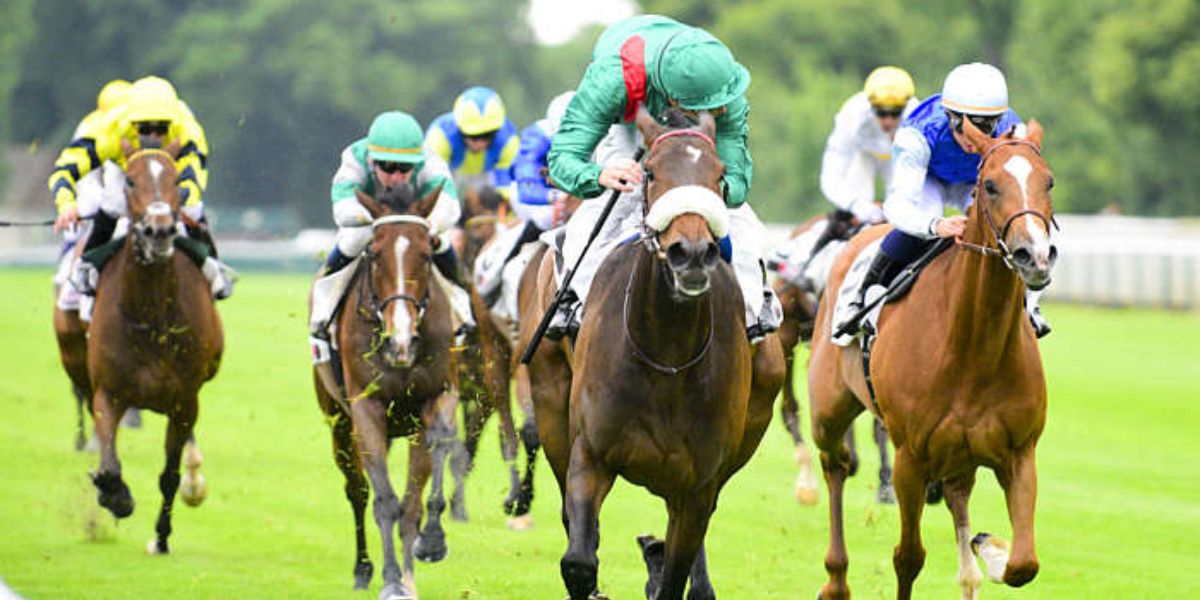 Quinté du mardi 8 juillet 2025 à Chantilly: les pronostics
