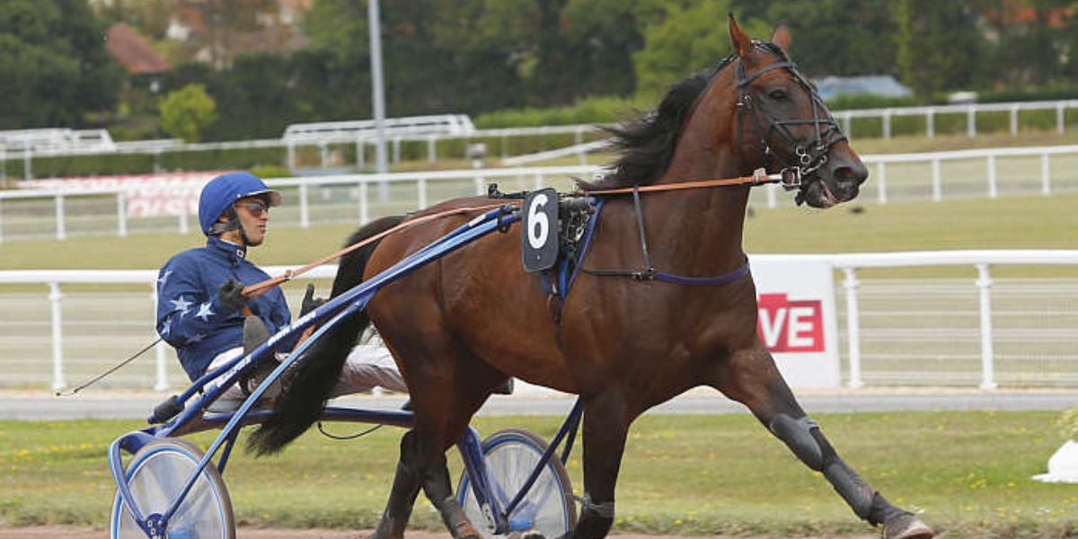 Quinté du jeudi 10 juillet 2025 à Enghien: les pronostics