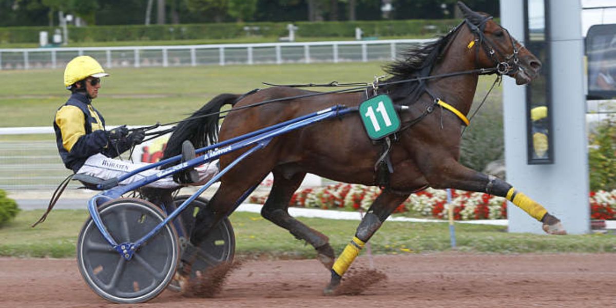 Quinté du samedi 12 juillet 2025 à Enghien: les pronostics