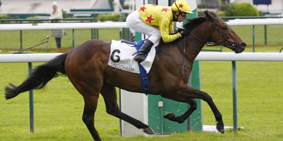 Quinté du dimanche 13 juillet 2025 à Longchamp: les pronostics
