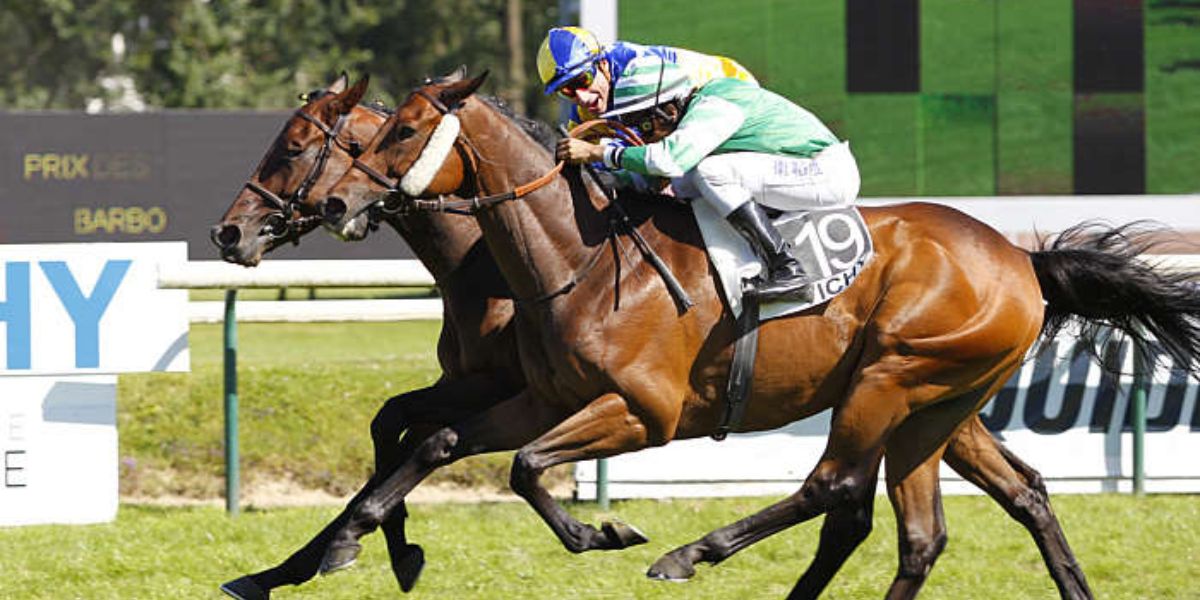Quinté du lundi 14 juillet 2025 à Vichy: les pronostics