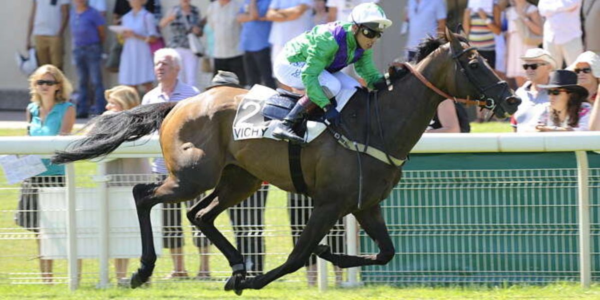Quinté du mardi 15 juillet 2025 à Vichy: les pronostics