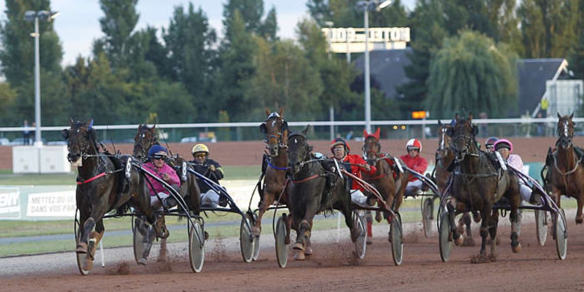 Quinté du mercredi 16 juillet 2025 au Mont-Saint-Michel: les pronostics