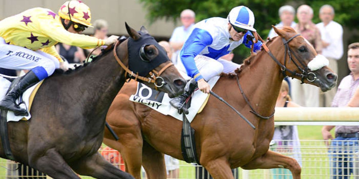 Quinté du jeudi 17 juillet 2025 à Vichy: les pronostics