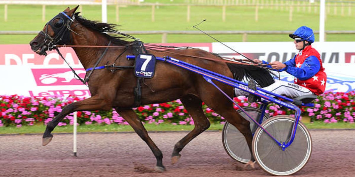 Quinté du vendredi 18 juillet 2025 à Cabourg: les pronostics