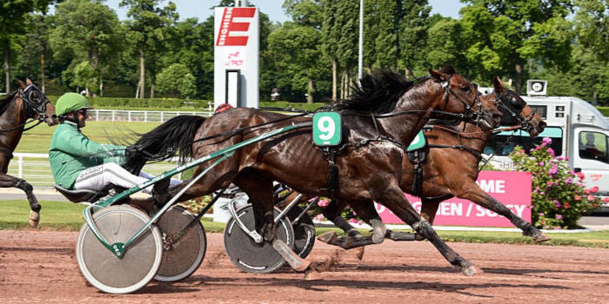 Quinté du samedi 19 juillet 2025 à Enghien: les pronostics