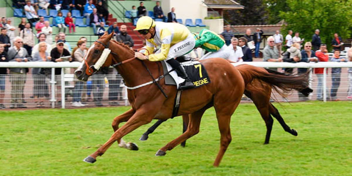 Quinté du lundi 21 juillet 2025 à Compiègne: les pronostics