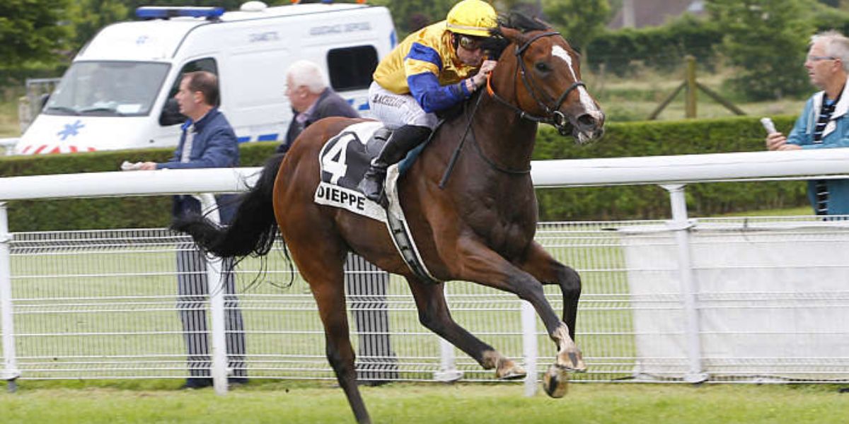 Quinté du mardi 22 juillet 2025 à Dieppe: les pronostics