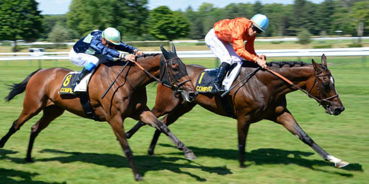 Quinté du jeudi 24 juillet 2025 à Compiègne: les pronostics