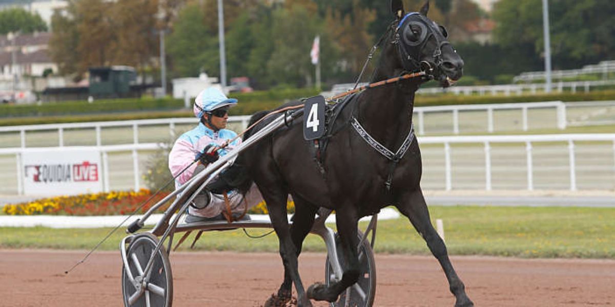 Quinté du samedi 26 juillet 2025 à Enghien: les pronostics