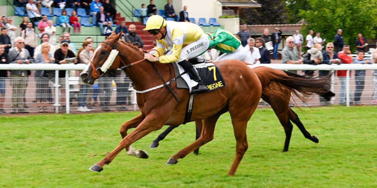 Quinté du mardi 29 juillet 2025 à Compiègne: les pronostics