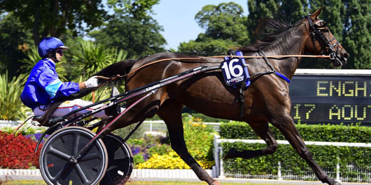 Quinté du mercredi 30 juillet 2025 à Enghien: les pronostics