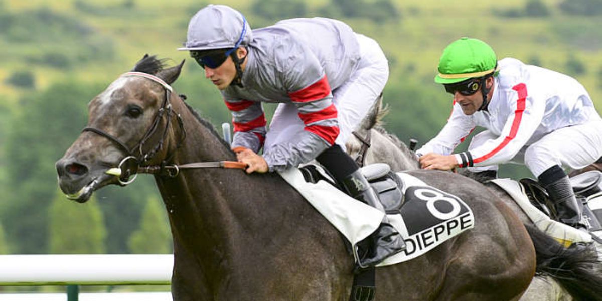 Quinté du jeudi 31 juillet 2025 à Dieppe: les pronostics