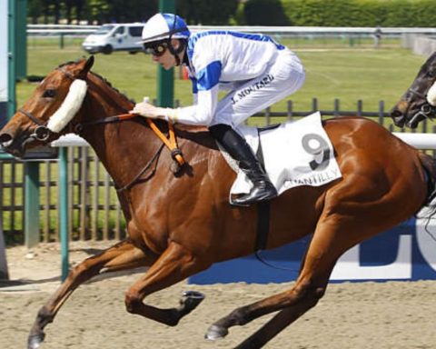 Quinté du lundi 1er septembre 2025 à Chantilly: les pronostics