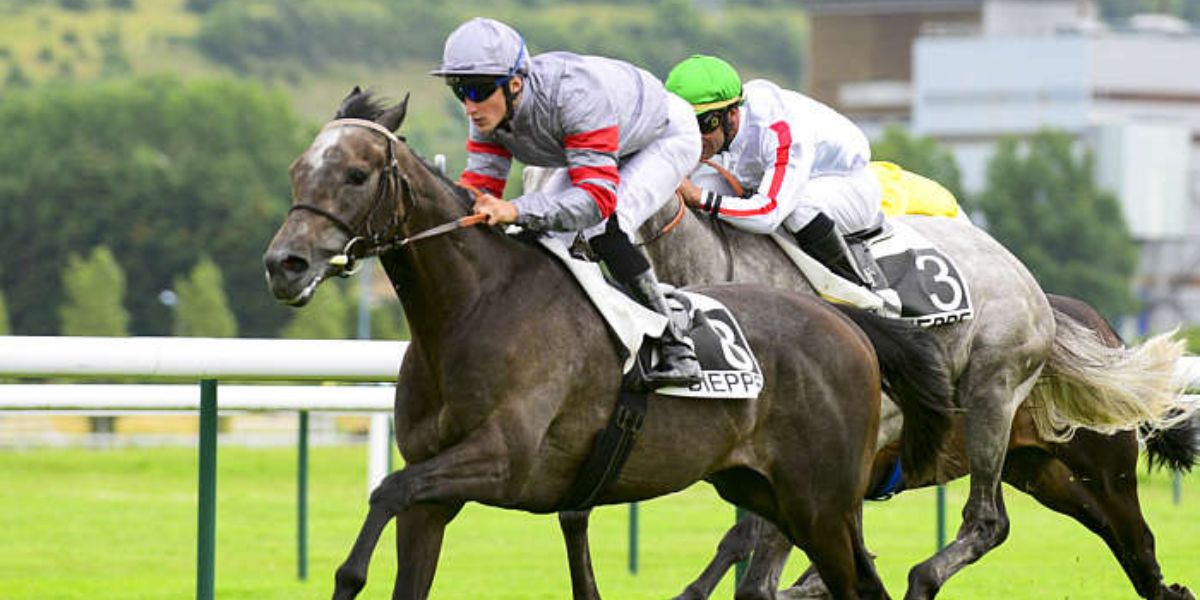 Quinté du lundi 4 août 2025 à Dieppe: les pronostics