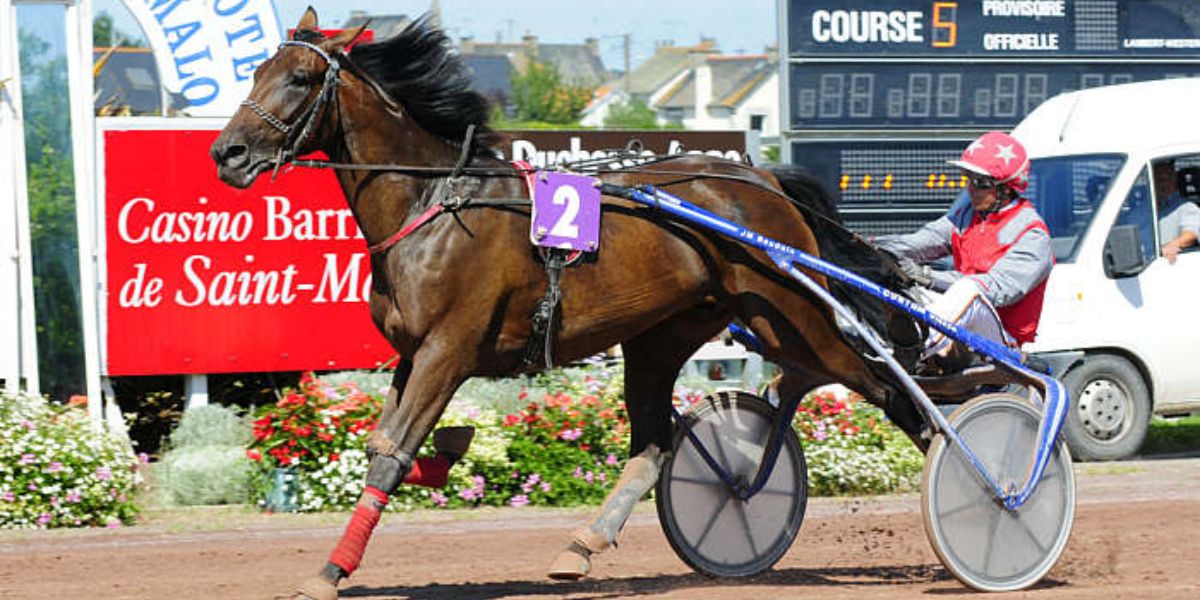Quinté du mercredi 6 août 2025 à Saint-Malo: les pronostics