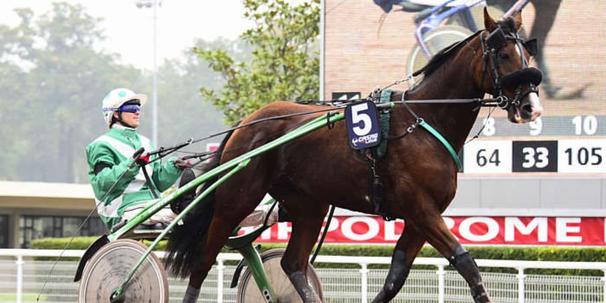 Quinté du jeudi 7 août 2025 à Enghien: les pronostics