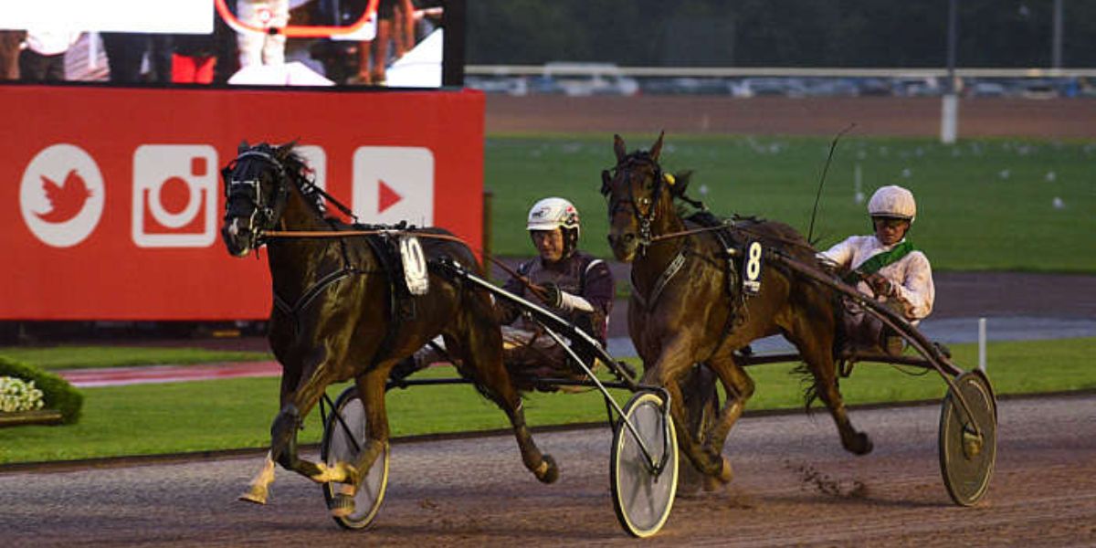 Quinté du vendredi 8 août 2025 à Cabourg: les pronostics