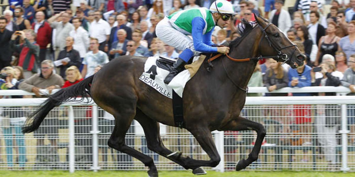 Quinté du samedi 9 août 2025 à Deauville: les pronostics