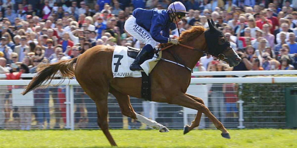 Quinté du dimanche 10 août 2025 à Deauville: les pronostics