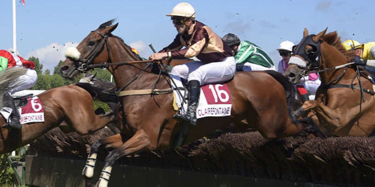 Quinté du lundi 11 août 2025 à Clairefontaine: les pronostics