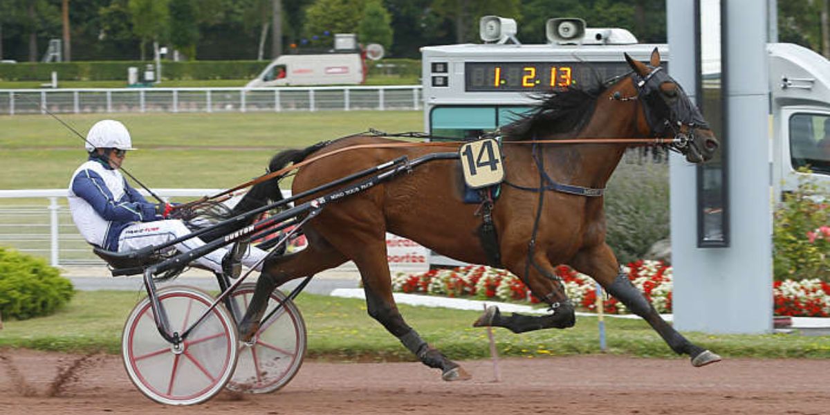 Quinté du mercredi 13 août 2025 à Enghien: les pronostics
