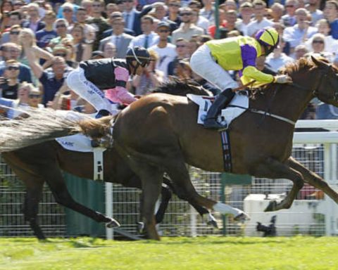 Quinté du jeudi 14 août 2025 à Deauville: les pronostics