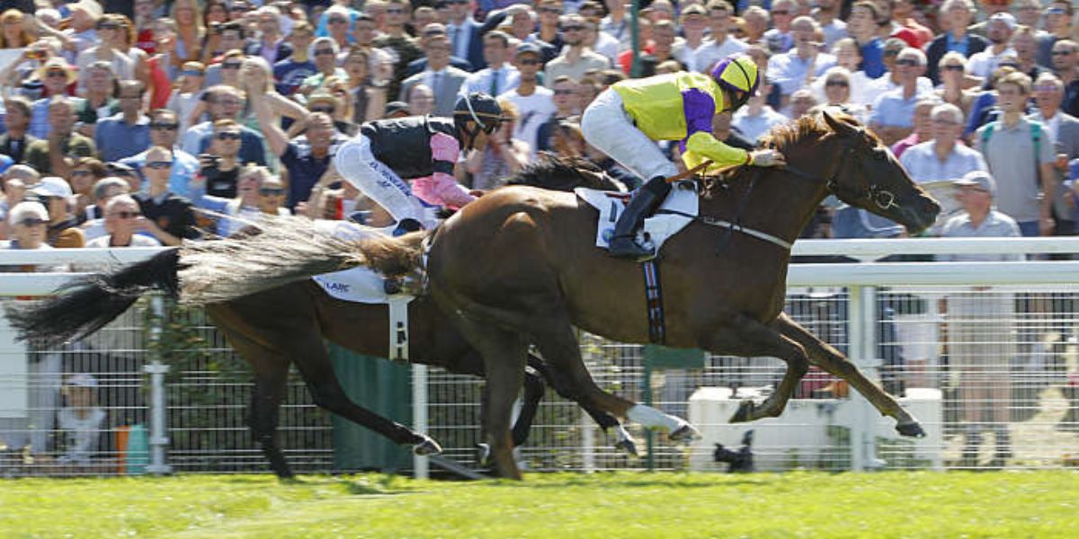 Quinté du jeudi 14 août 2025 à Deauville: les pronostics