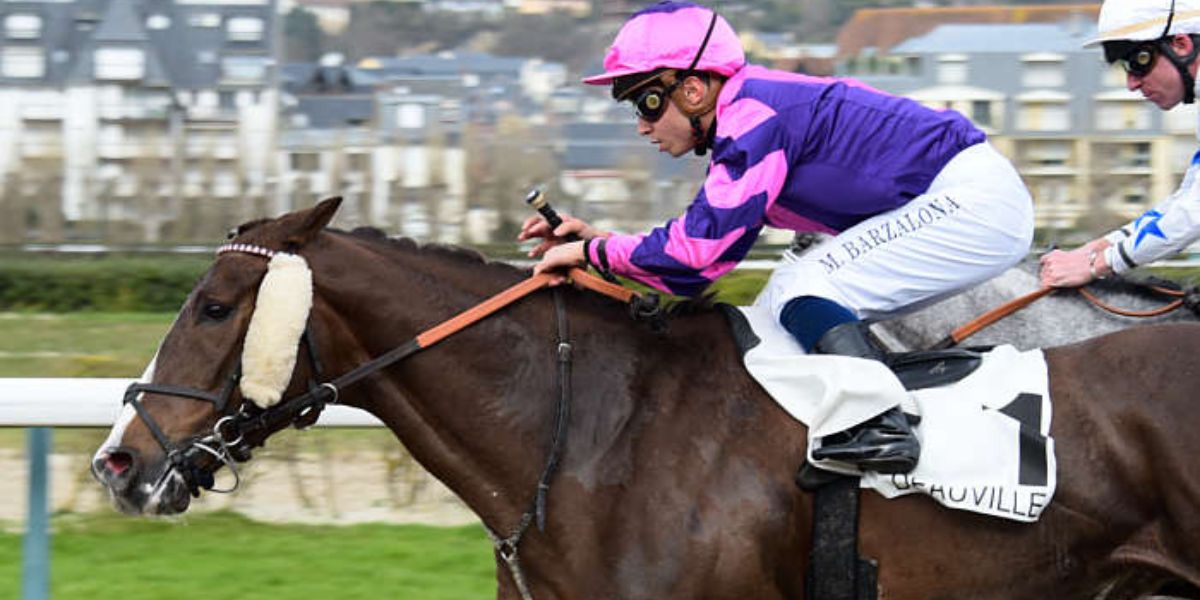 Quinté du dimanche 17 août 2025 à Deauville: les pronostics