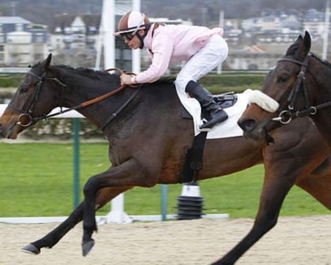 Quinté du mardi 19 août 2025 à Deauville: les pronostics