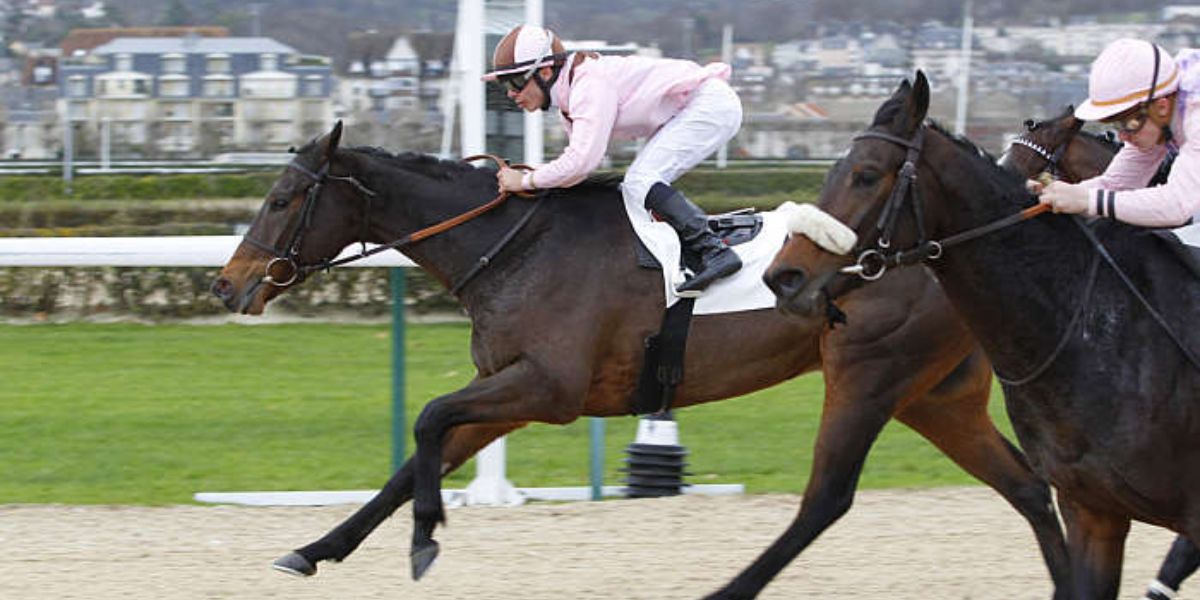 Quinté du mardi 19 août 2025 à Deauville: les pronostics