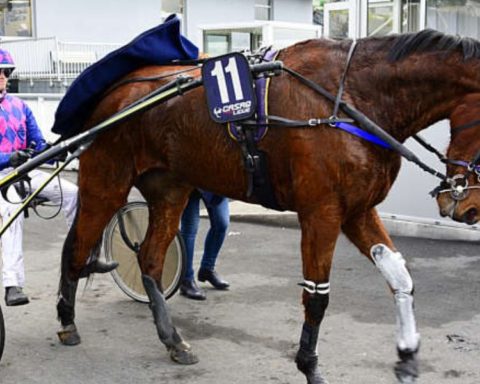 Quinté du mercredi 20 août 2025 à Vincennes: les pronostics