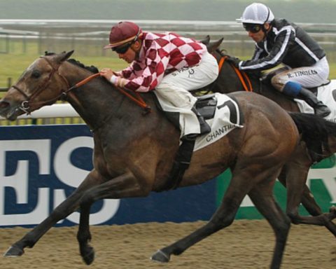 Quinté du jeudi 21 août 2025 à Deauville: les pronostics