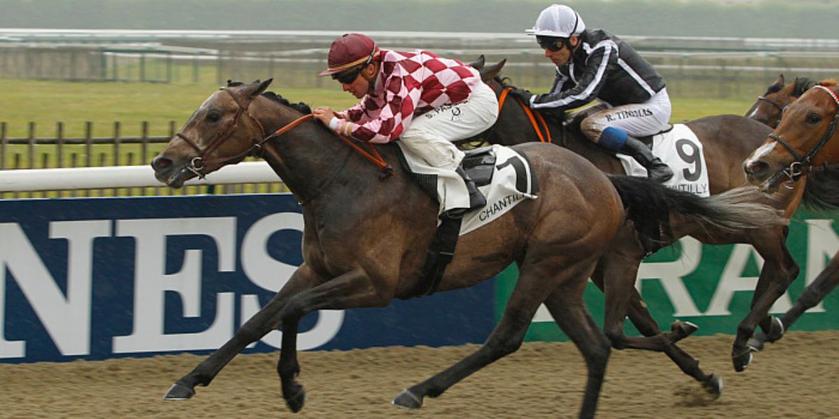 Quinté du jeudi 21 août 2025 à Deauville: les pronostics