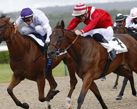 Quinté du samedi 23 août 2025 à Deauville: les pronostics