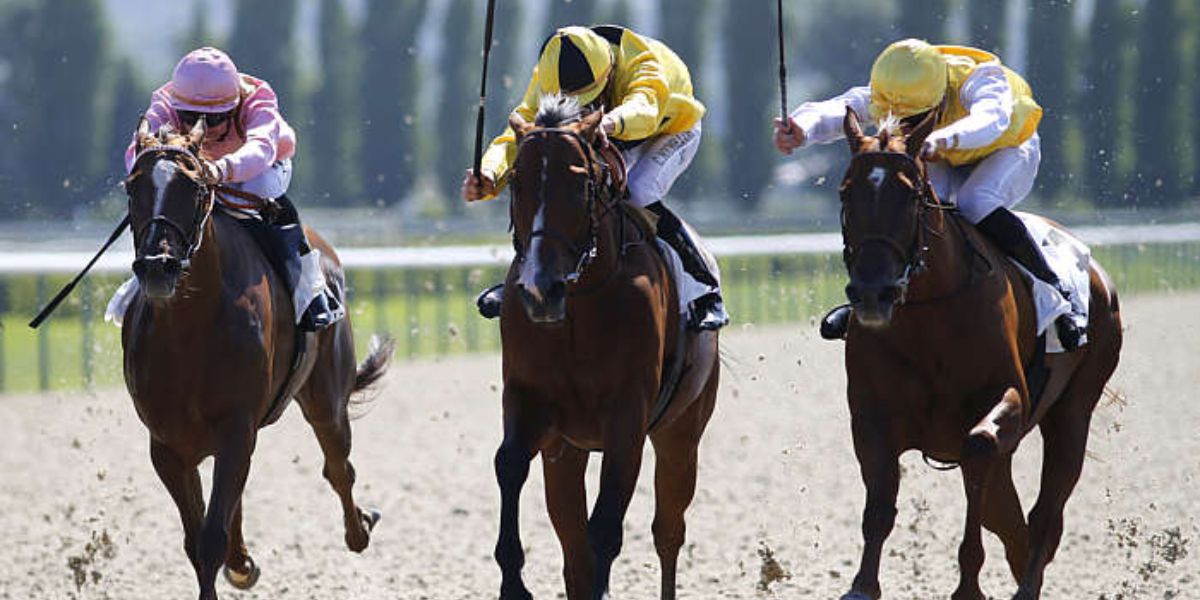 Quinté du dimanche 24 août 2025 à Deauville: les pronostics