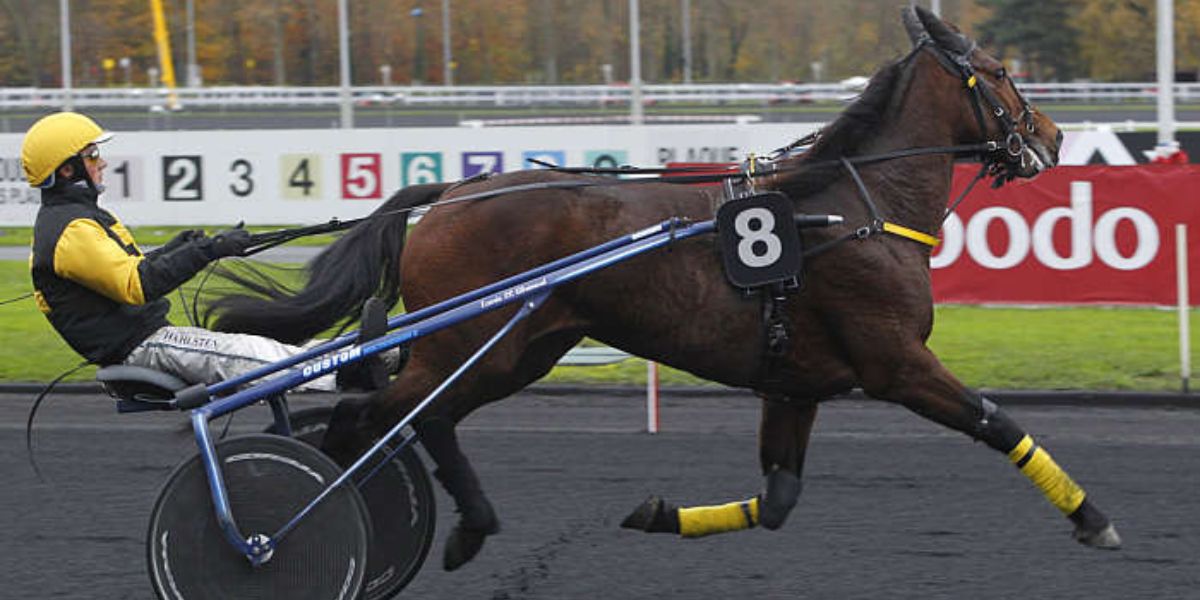 Quinté du lundi 25 août 2025 à Vincennes: les pronostics