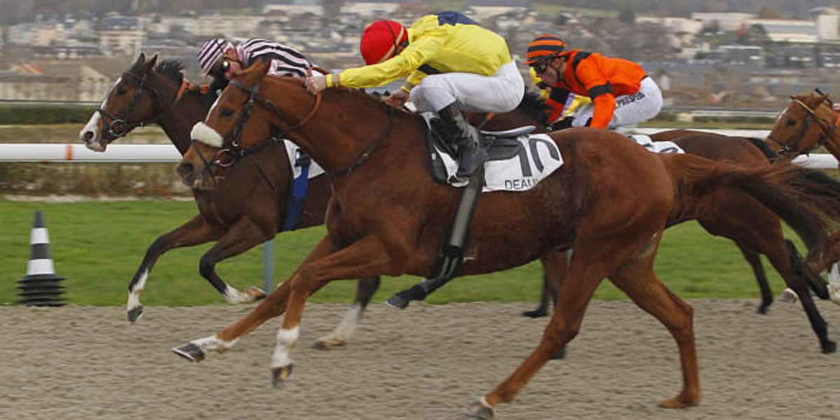 Quinté du mardi 26 août 2025 à Deauville: les pronostics