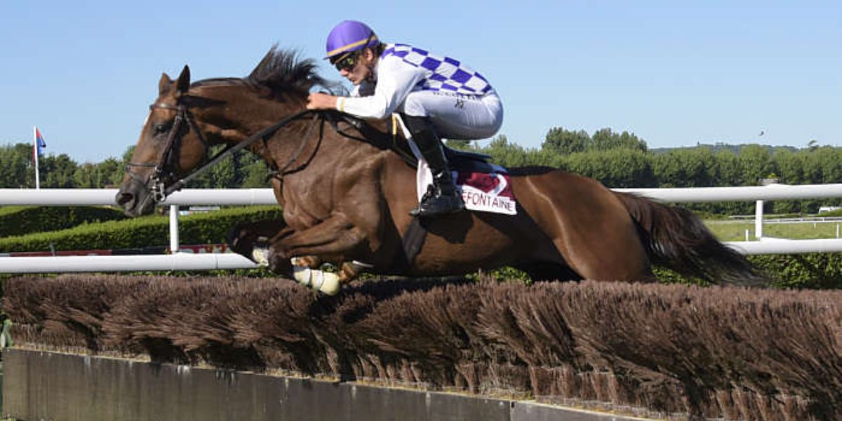 Quinté du mercredi 27 août 2025 à Clairefontaine: les pronostics