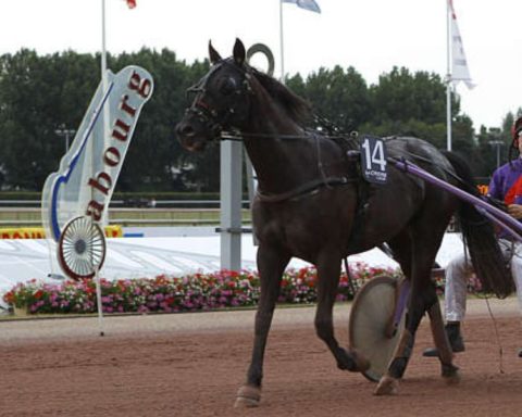 Quinté du vendredi 29 août 2025 à Cabourg: les pronostics