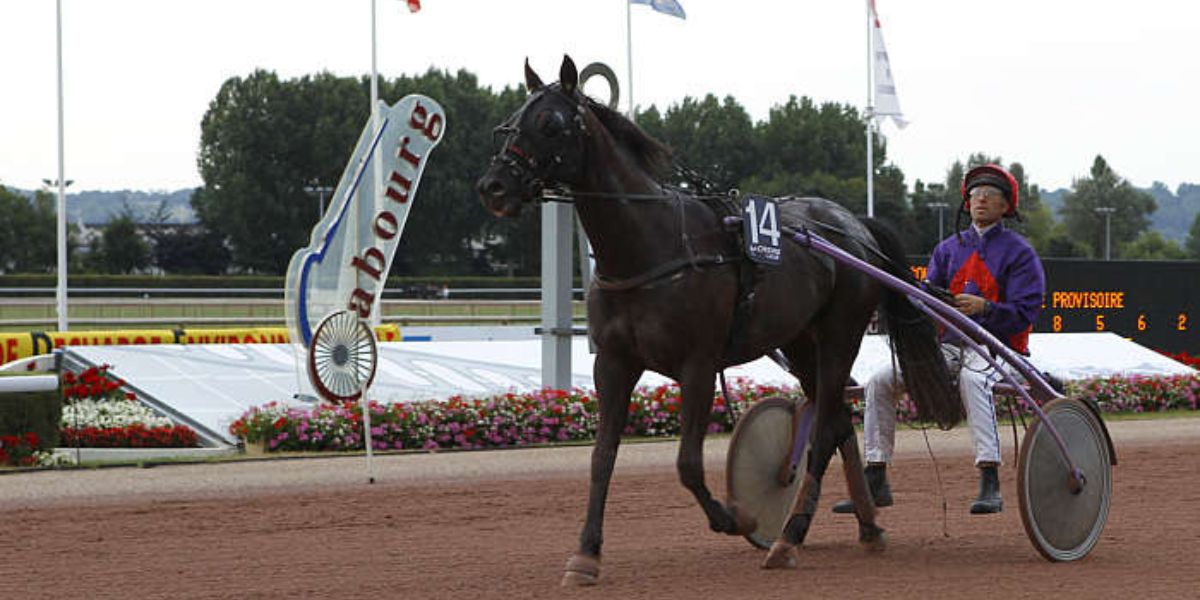 Quinté du vendredi 29 août 2025 à Cabourg: les pronostics