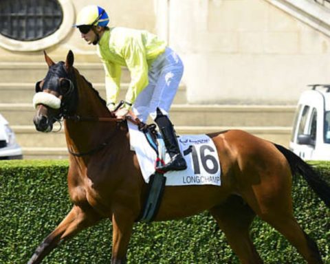 Quinté du dimanche 31 août 2025 à Longchamp: les pronostics