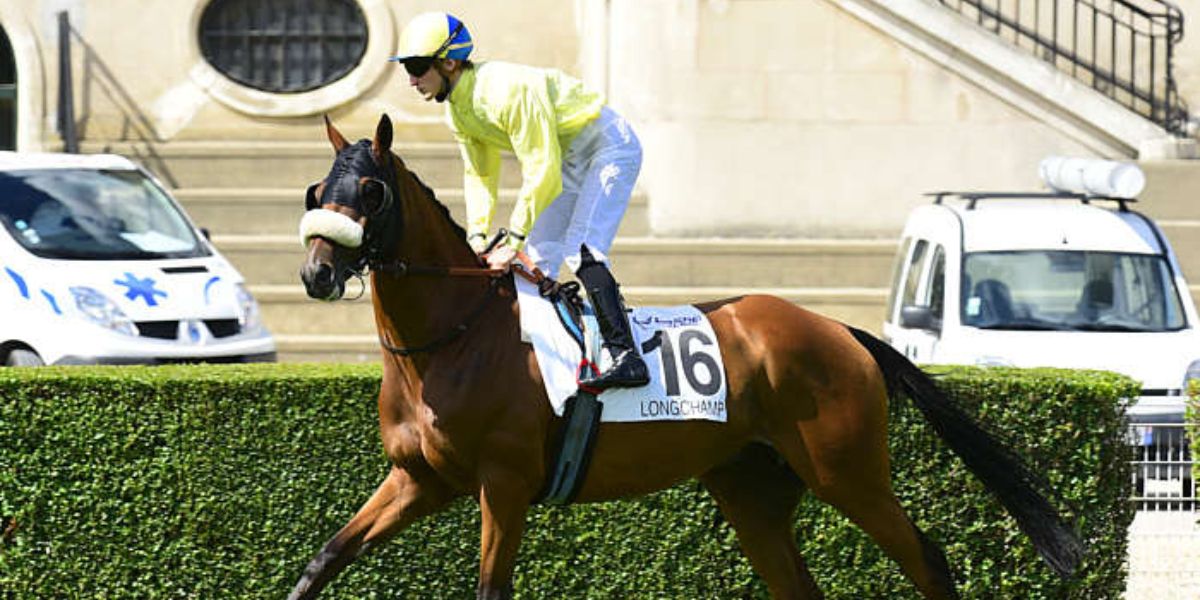 Quinté du dimanche 31 août 2025 à Longchamp: les pronostics