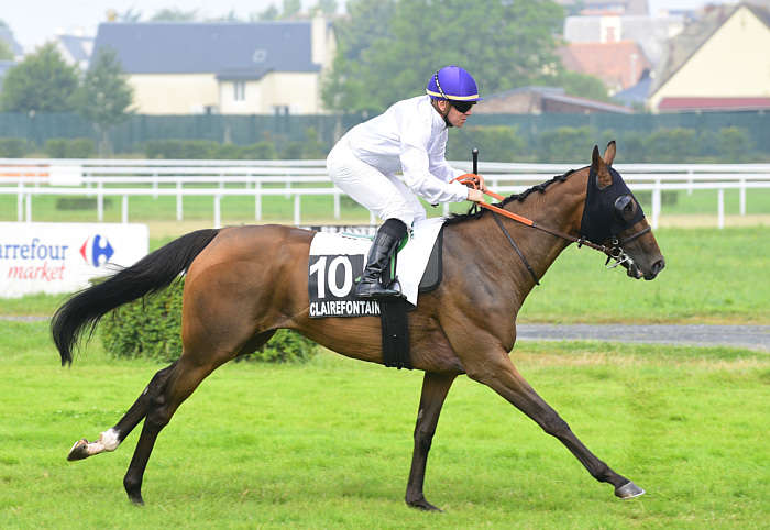 Quinté du vendredi 15 août 2025 à Clairefontaine: les pronostics