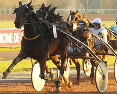 Quinté du mercredi 1er octobre 2025 à Angers: les pronostics